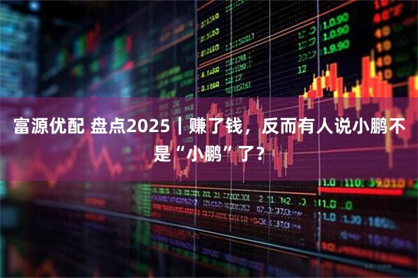 富源优配 盘点2025｜赚了钱，反而有人说小鹏不是“小鹏”了？